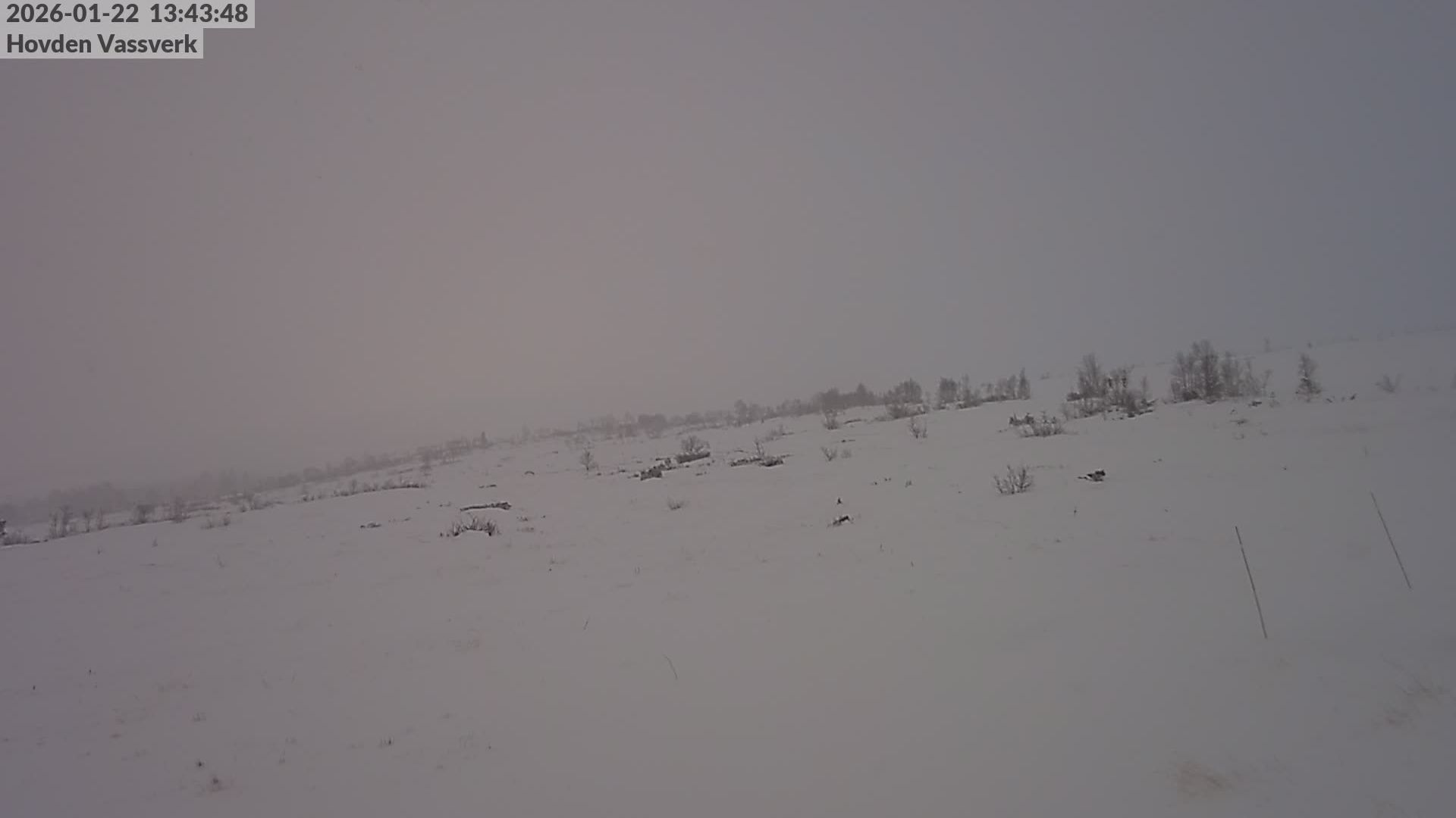 Hovden › East: Remestøylflotti Hyttegrend