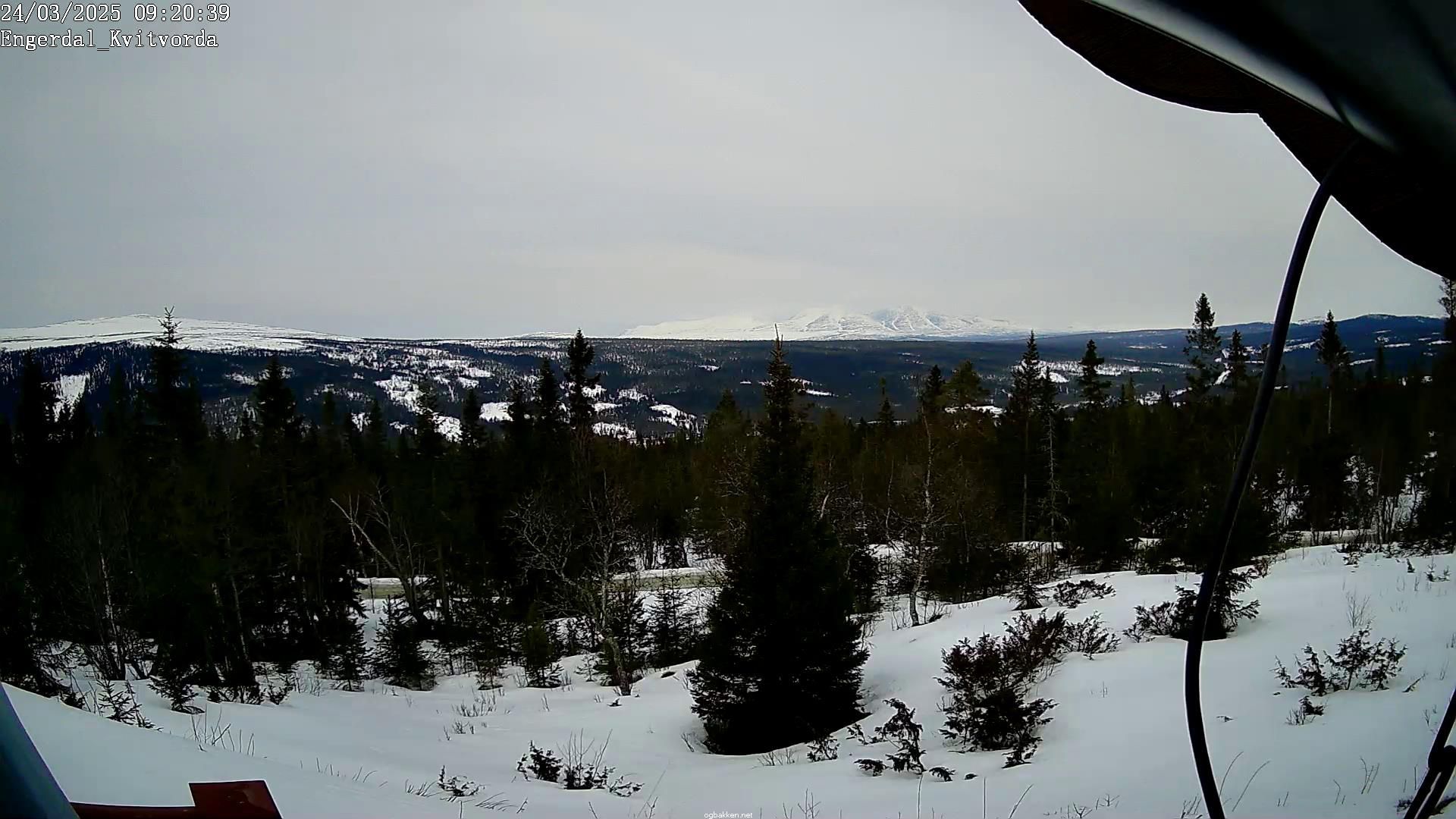 Engerdal: Kvitvorda