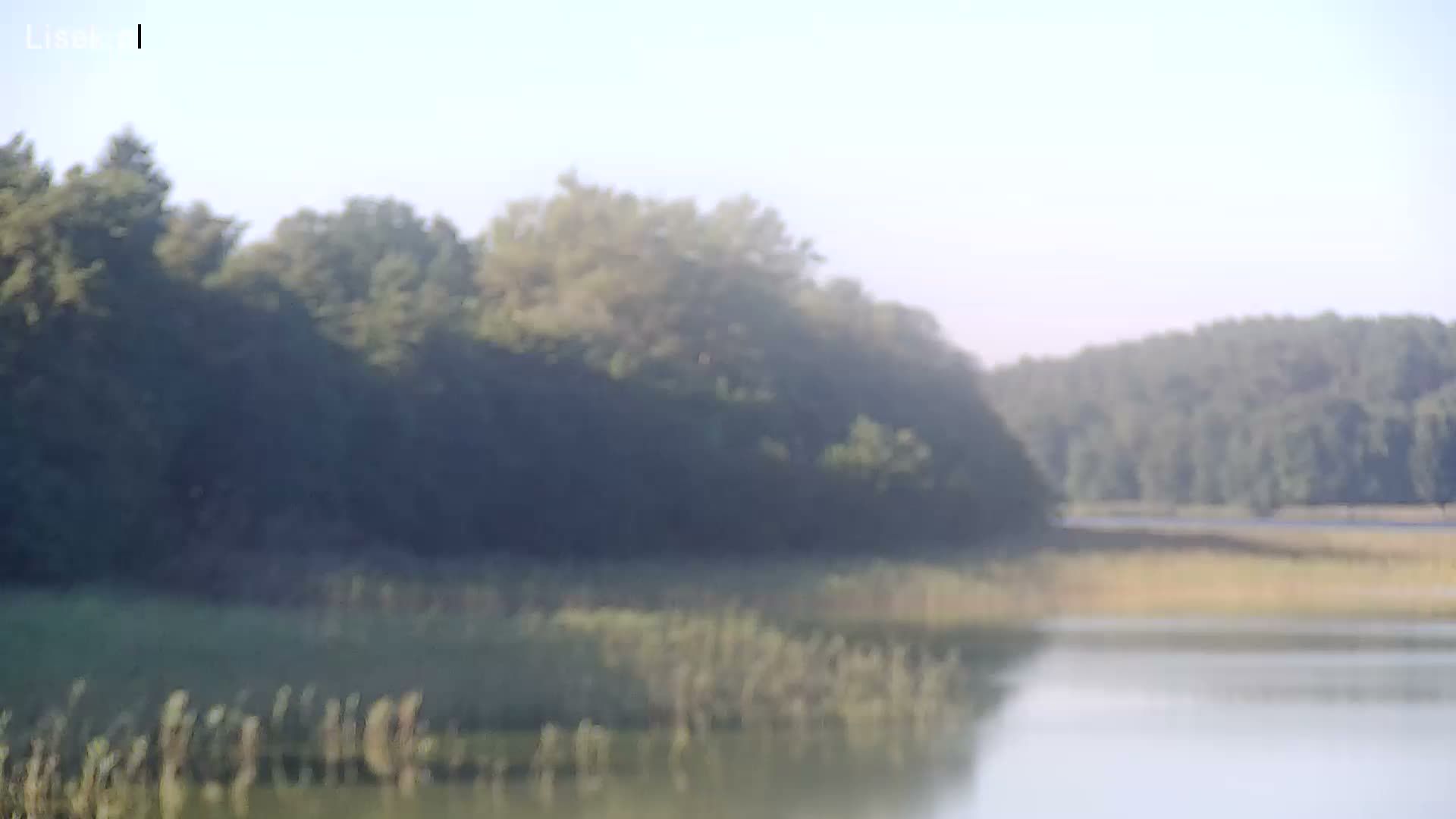 Miedzyrzecz: Jezioro Lubikowskie