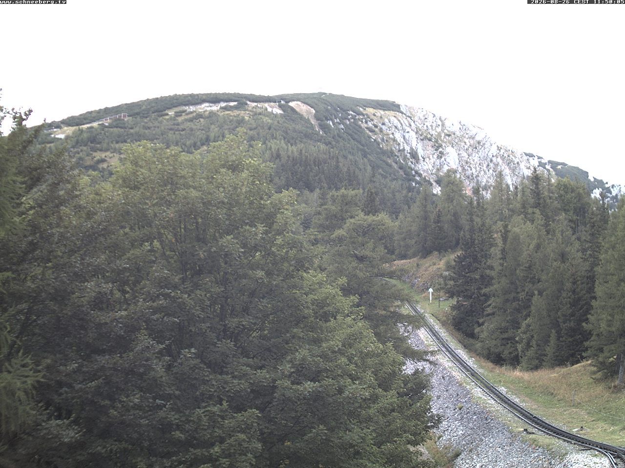 Gemeinde Puchberg am Schneeberg