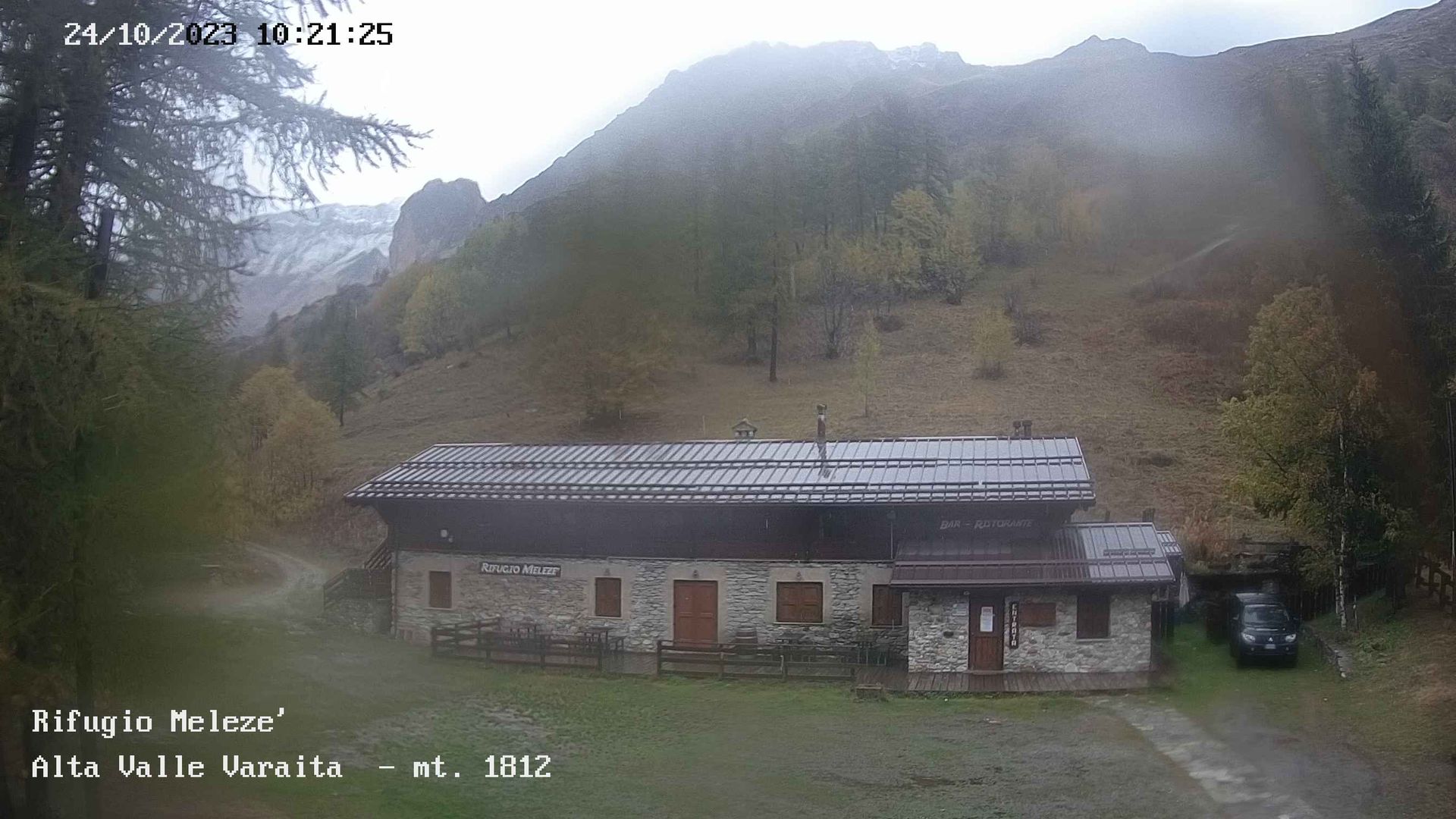 Bellino: Meleze