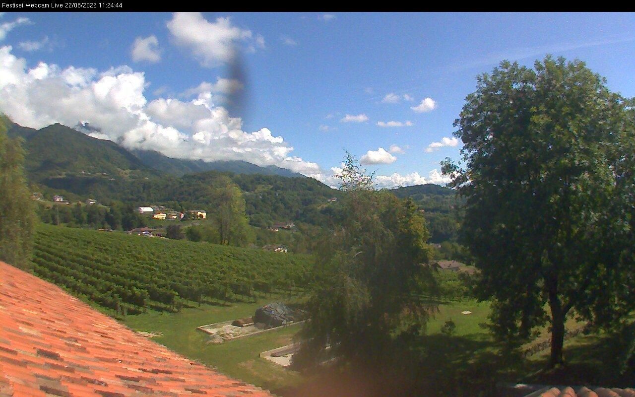 Pedavena: Festisei - BL