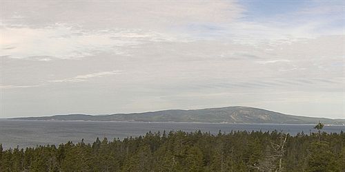 Winter Harbor: Acadia National Park